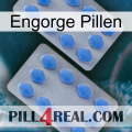 Engorge Pills 20